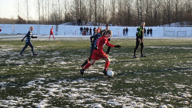 BSF 3F liga mod U17DM
